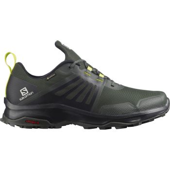 Salomon X-RENDER GTX, muške cipele za planinarenje, zelena